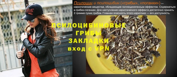 герыч Алексин